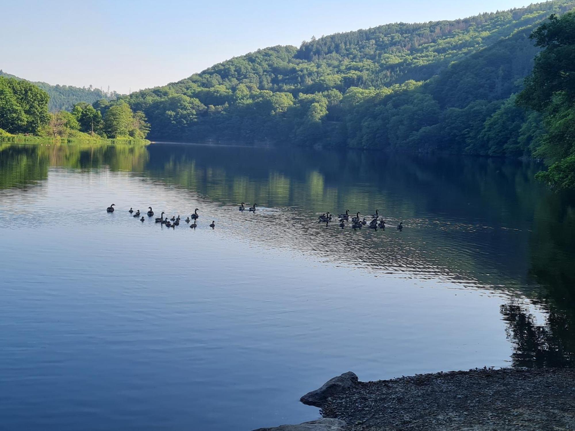 Ferienwohnung Am Rursee سيمراث المظهر الخارجي الصورة