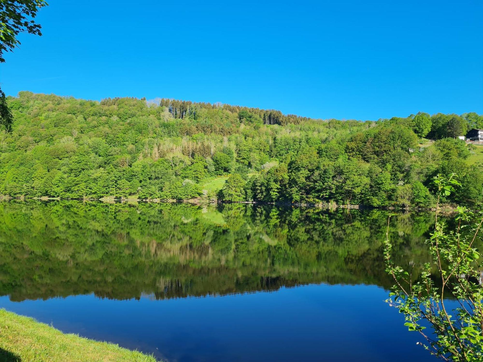 Ferienwohnung Am Rursee سيمراث المظهر الخارجي الصورة